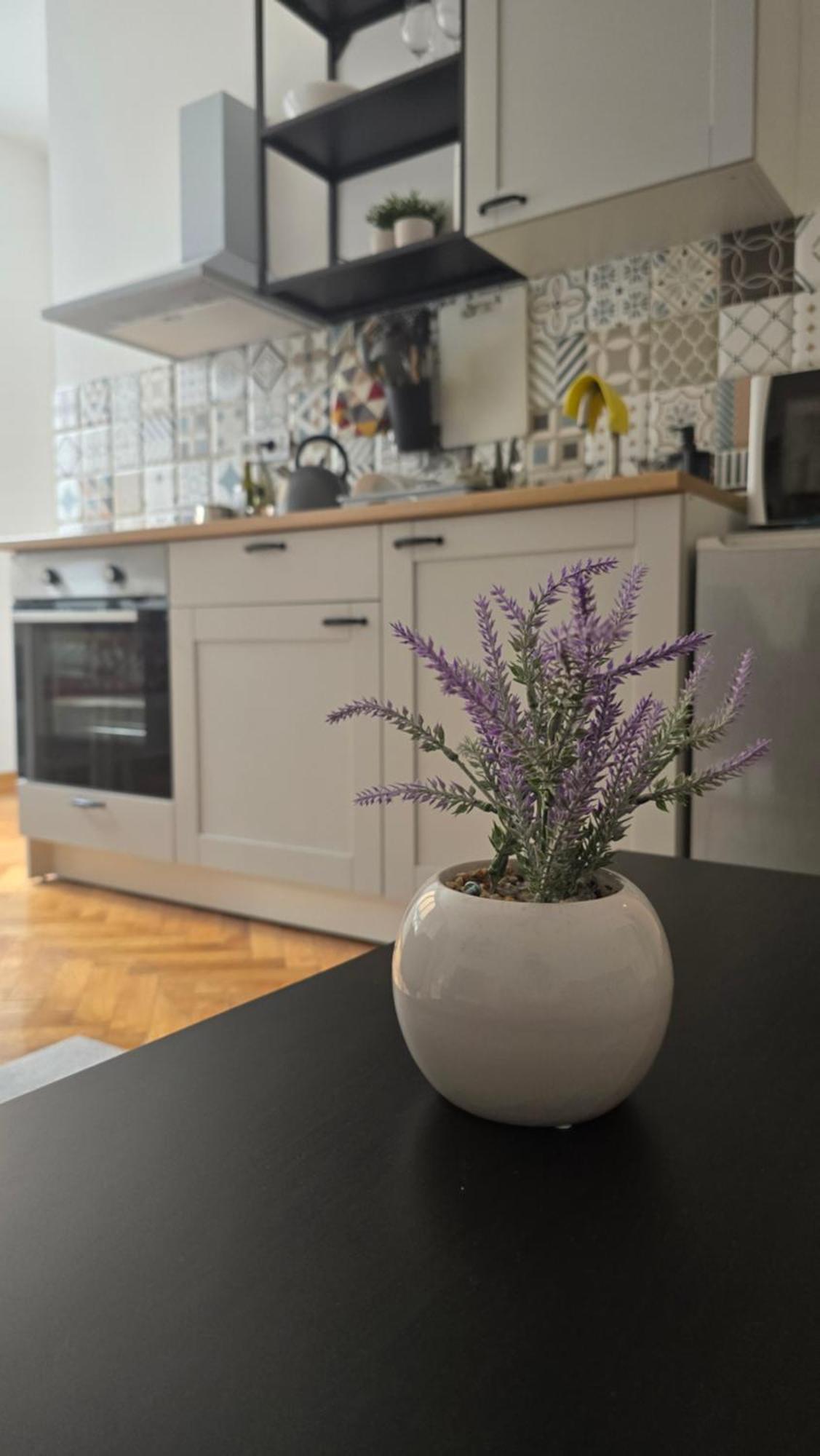 Apartment Major Белград Екстериор снимка
